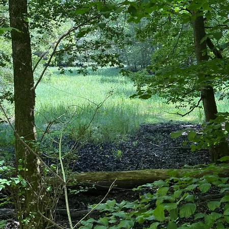 Hébergement de vacances Haus Gruen Oranienburg